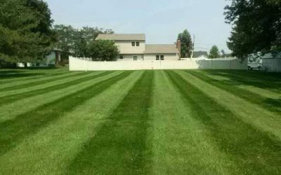 Lawn Fertilization Free Estimate