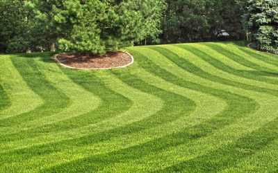 Lawn Care, Lawn Mowing, LAwn Maintenance - Free Estimates
