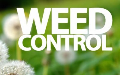Weed Control Free estimates